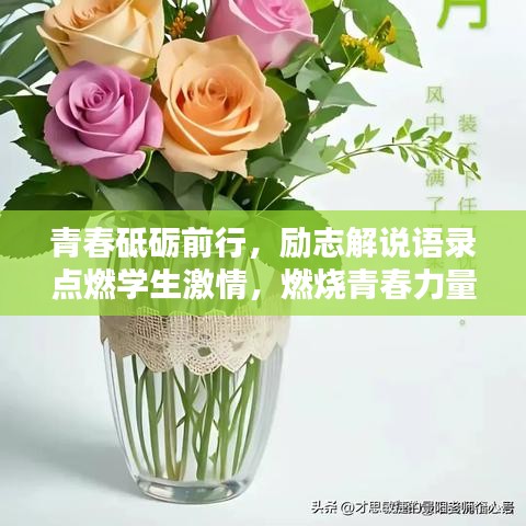 2025年5月2日 第13頁(yè)