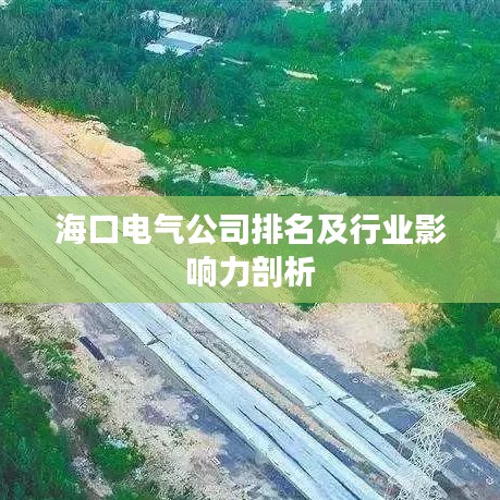 ?？陔姎夤九琶靶袠I(yè)影響力剖析