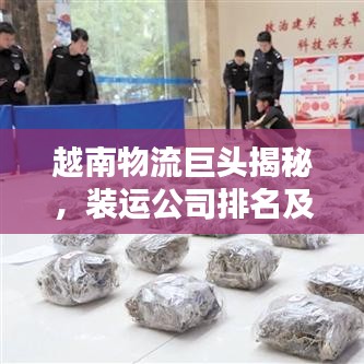 越南物流巨頭揭秘，裝運公司排名及行業(yè)佼佼者盤點
