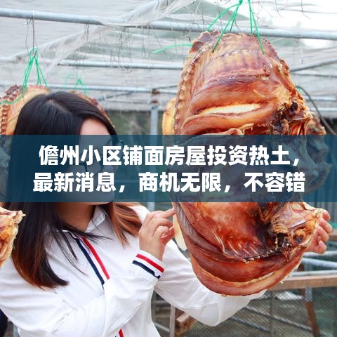 儋州小區(qū)鋪面房屋投資熱土，最新消息，商機(jī)無(wú)限，不容錯(cuò)過(guò)