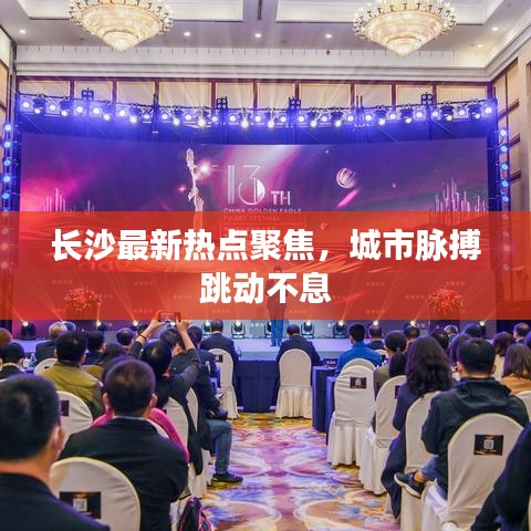 長(zhǎng)沙最新熱點(diǎn)聚焦，城市脈搏跳動(dòng)不息