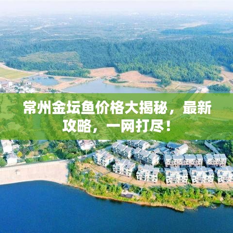 常州金壇魚價(jià)格大揭秘，最新攻略，一網(wǎng)打盡！