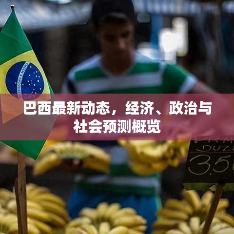 巴西最新動態(tài)，經(jīng)濟、政治與社會預(yù)測概覽
