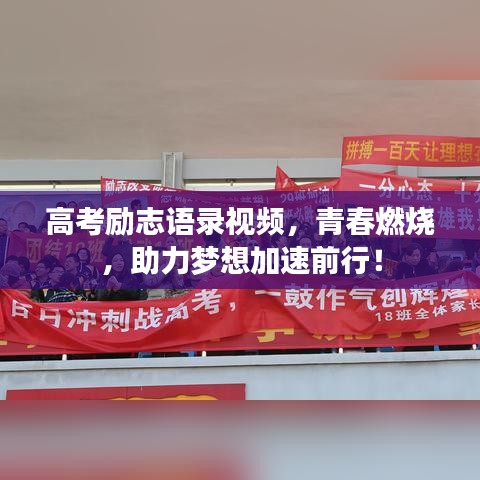高考勵(lì)志語錄視頻，青春燃燒，助力夢(mèng)想加速前行！