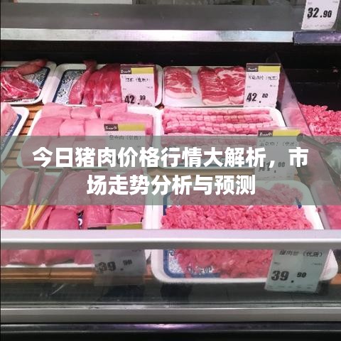 今日豬肉價格行情大解析，市場走勢分析與預(yù)測