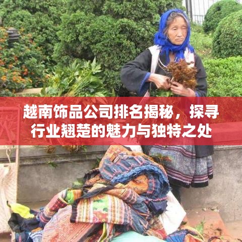 越南飾品公司排名揭秘，探尋行業(yè)翹楚的魅力與獨特之處