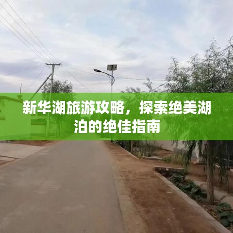新華湖旅游攻略，探索絕美湖泊的絕佳指南