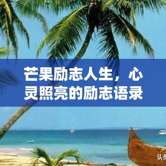 芒果勵(lì)志人生，心靈照亮的勵(lì)志語(yǔ)錄