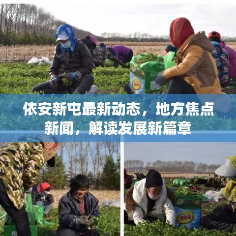 依安新屯最新動態(tài)，地方焦點新聞，解讀發(fā)展新篇章