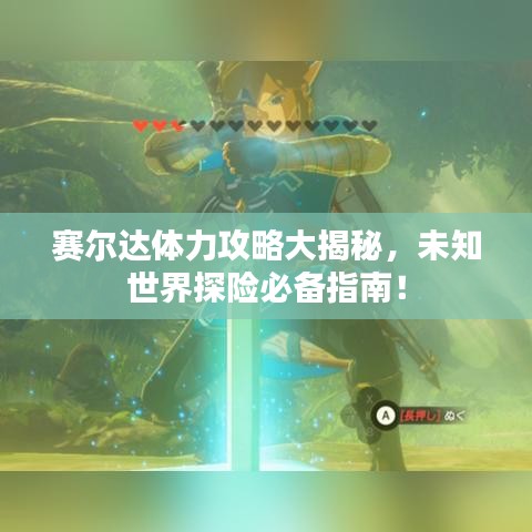 賽爾達體力攻略大揭秘，未知世界探險必備指南！