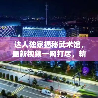 達(dá)人獨(dú)家揭秘武術(shù)館，最新視頻一網(wǎng)打盡，精彩紛呈！