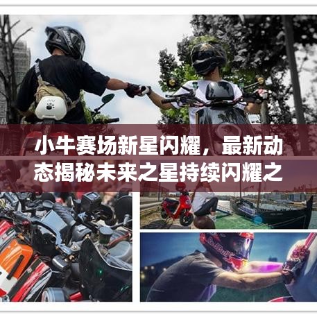 小牛賽場新星閃耀，最新動態(tài)揭秘未來之星持續(xù)閃耀之路