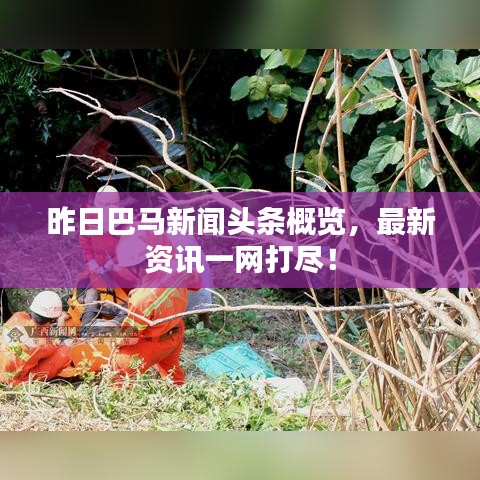 昨日巴馬新聞頭條概覽，最新資訊一網(wǎng)打盡！