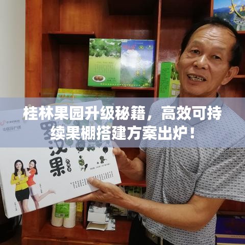 桂林果園升級秘籍，高效可持續(xù)果棚搭建方案出爐！