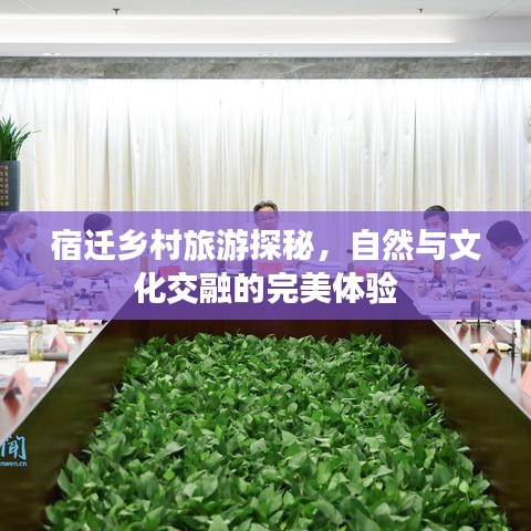 宿遷鄉(xiāng)村旅游探秘，自然與文化交融的完美體驗