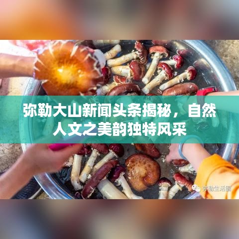 彌勒大山新聞頭條揭秘，自然人文之美韻獨特風采