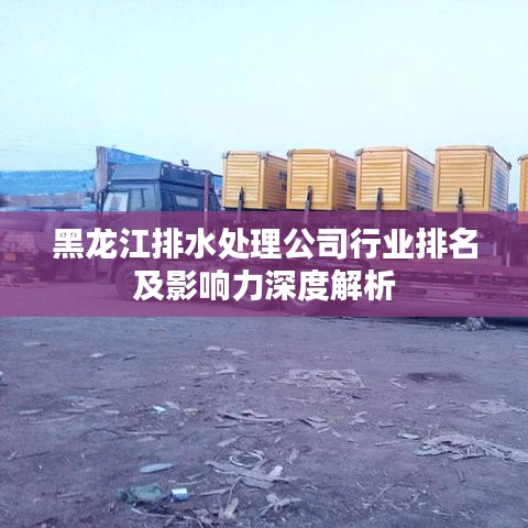 黑龍江排水處理公司行業(yè)排名及影響力深度解析