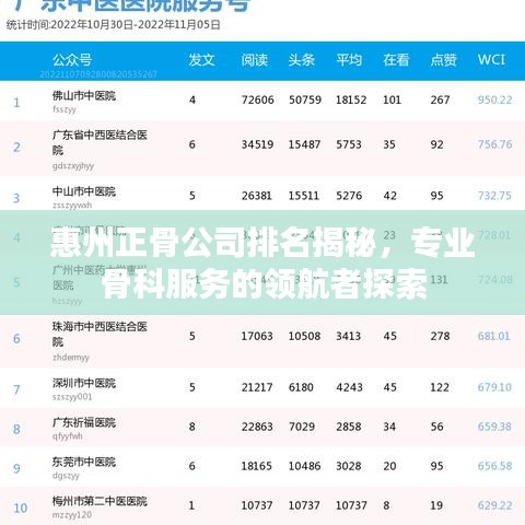 惠州正骨公司排名揭秘，專(zhuān)業(yè)骨科服務(wù)的領(lǐng)航者探索