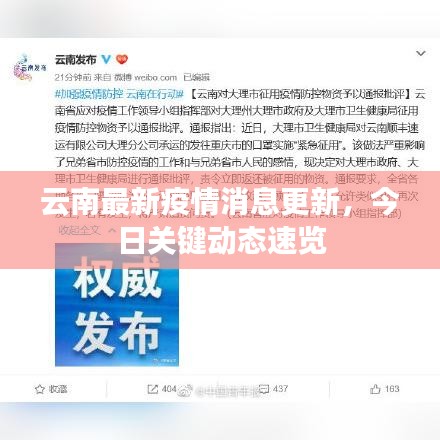 云南最新疫情消息更新，今日關(guān)鍵動(dòng)態(tài)速覽