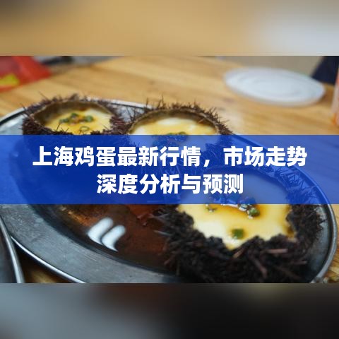 上海雞蛋最新行情，市場走勢深度分析與預(yù)測