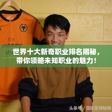 世界十大新奇職業(yè)排名揭秘，帶你領(lǐng)略未知職業(yè)的魅力！