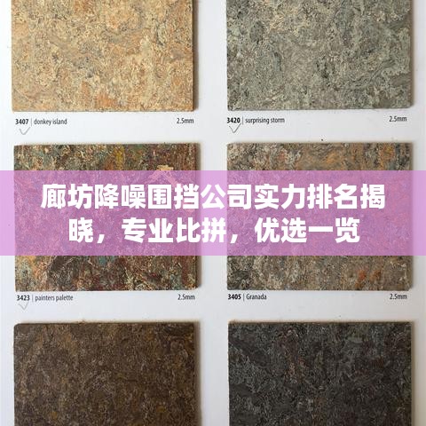 廊坊降噪圍擋公司實力排名揭曉，專業(yè)比拼，優(yōu)選一覽