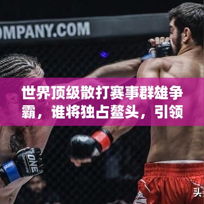 世界頂級散打賽事群雄爭霸，誰將獨占鰲頭，引領(lǐng)風(fēng)騷？