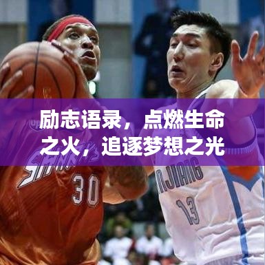 2025年5月4日 第8頁(yè)