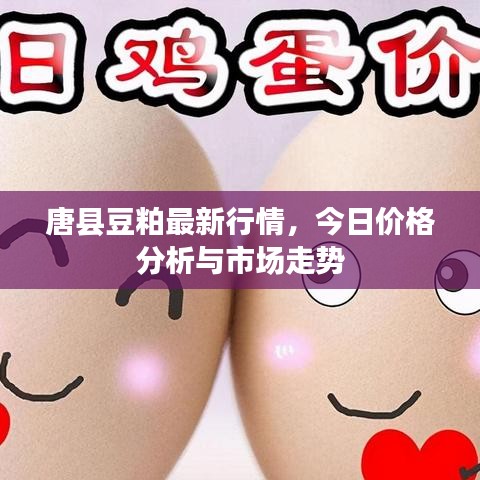 唐縣豆粕最新行情，今日價格分析與市場走勢