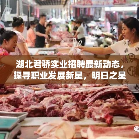 湖北君驕實業(yè)招聘最新動態(tài)，探尋職業(yè)發(fā)展新星，明日之星等你來挑戰(zhàn)！