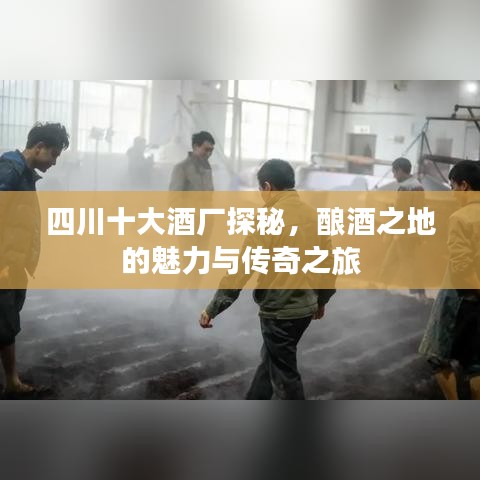 四川十大酒廠探秘，釀酒之地的魅力與傳奇之旅