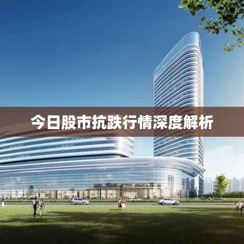 今日股市抗跌行情深度解析