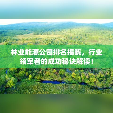 林業(yè)能源公司排名揭曉，行業(yè)領(lǐng)軍者的成功秘訣解讀！