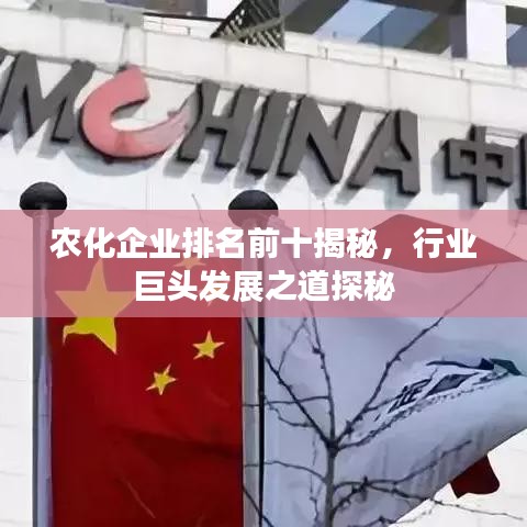 農(nóng)化企業(yè)排名前十揭秘，行業(yè)巨頭發(fā)展之道探秘