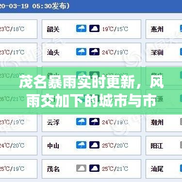 茂名暴雨實時更新，風(fēng)雨交加下的城市與市民行動全景展現(xiàn)