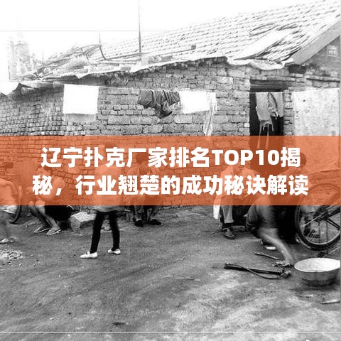 遼寧撲克廠家排名TOP10揭秘，行業(yè)翹楚的成功秘訣解讀