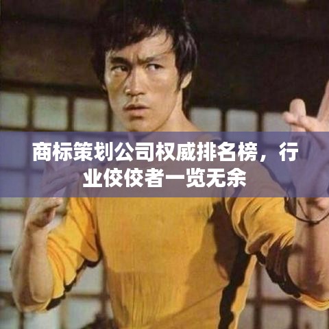 商標(biāo)策劃公司權(quán)威排名榜，行業(yè)佼佼者一覽無余