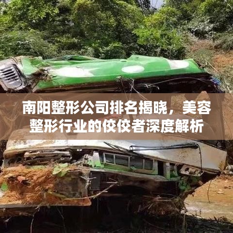 南陽整形公司排名揭曉，美容整形行業(yè)的佼佼者深度解析