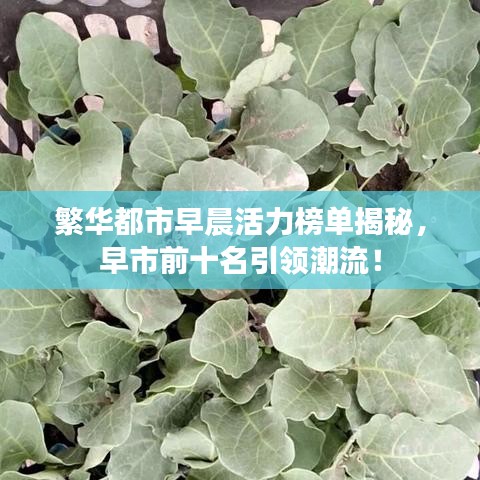 繁華都市早晨活力榜單揭秘，早市前十名引領(lǐng)潮流！