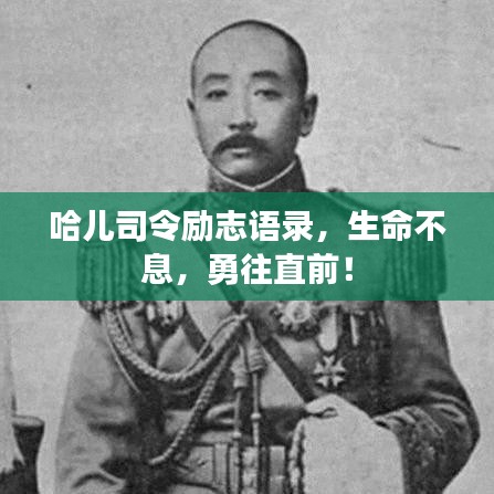 哈兒司令勵志語錄，生命不息，勇往直前！