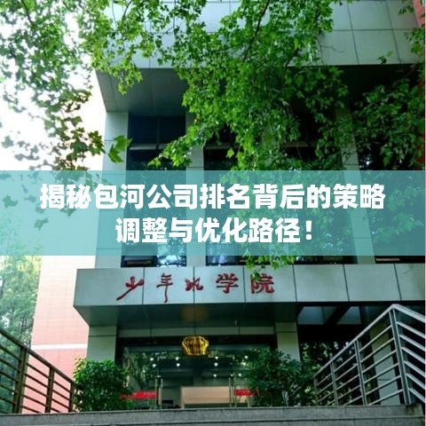 揭秘包河公司排名背后的策略調(diào)整與優(yōu)化路徑！