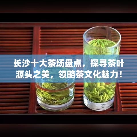 長沙十大茶場盤點，探尋茶葉源頭之美，領(lǐng)略茶文化魅力！