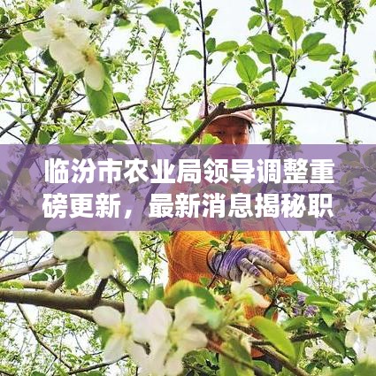 臨汾市農(nóng)業(yè)局領(lǐng)導(dǎo)調(diào)整重磅更新，最新消息揭秘職務(wù)變動(dòng)