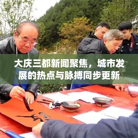 大慶三都新聞聚焦，城市發(fā)展的熱點與脈搏同步更新