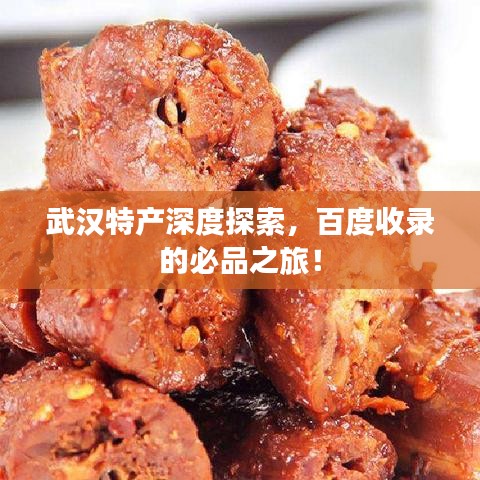 武漢特產(chǎn)深度探索，百度收錄的必品之旅！
