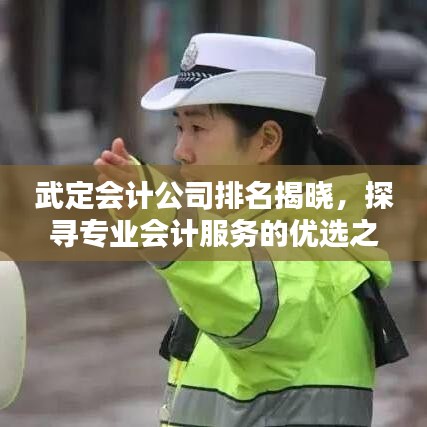 武定會(huì)計(jì)公司排名揭曉，探尋專業(yè)會(huì)計(jì)服務(wù)的優(yōu)選之選！