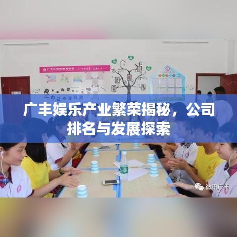廣豐娛樂產(chǎn)業(yè)繁榮揭秘，公司排名與發(fā)展探索