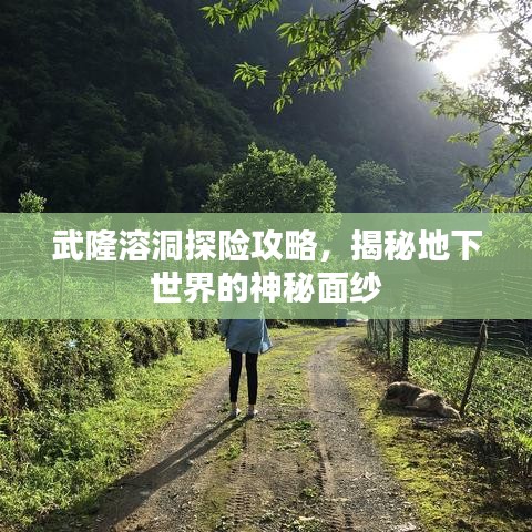 武隆溶洞探險攻略，揭秘地下世界的神秘面紗