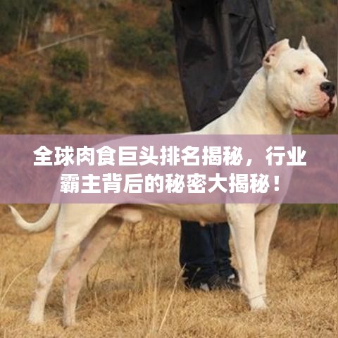 全球肉食巨頭排名揭秘，行業(yè)霸主背后的秘密大揭秘！