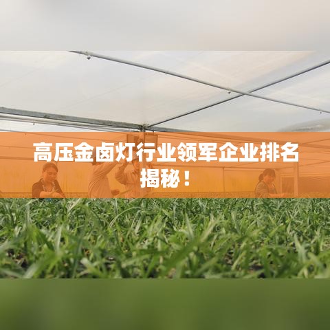 高壓金鹵燈行業(yè)領(lǐng)軍企業(yè)排名揭秘！